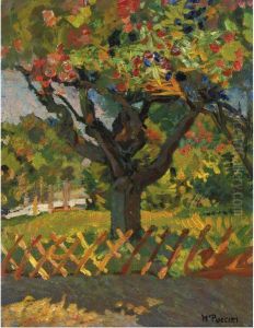 Albero In Fiore