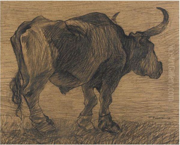 Toro - view 1