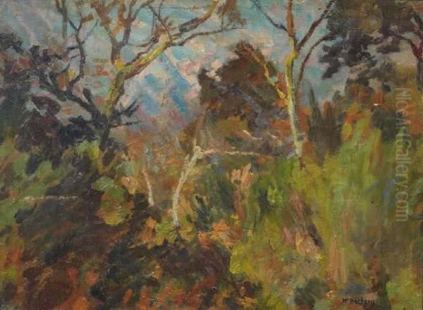 Bosco - view 1
