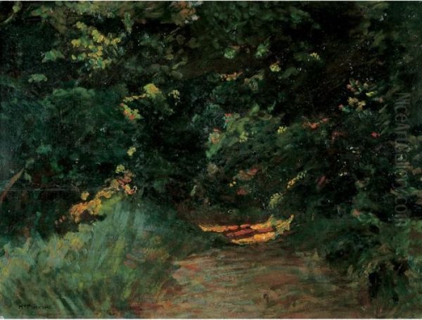 Ultimo Raggio Di Sole Nel Bosco - view 1