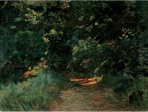 Ultimo Raggio Di Sole Nel Bosco by Mario Puccini