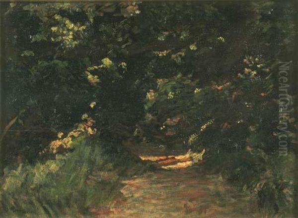 Ultimo Raggio Di Sole Nel Bosco (1913 Circa) - view 1