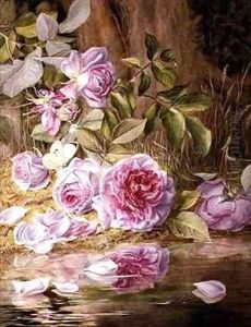 Blairie Roses