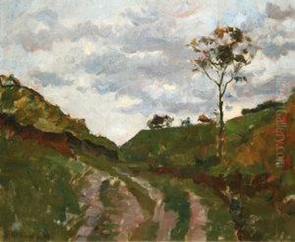 Evening Light - view 1
