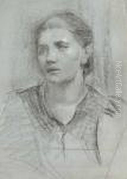 Portrait Study: Head And Shoulders Of A Young Woman; Life Study On Reverse - view 1