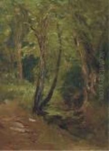 Woodland Path