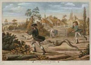 Coursing the Hare by Richard Dighton