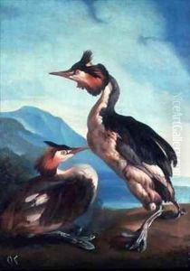 A Pair Great Crested Grebes by a Riverbank by Faustino Durante