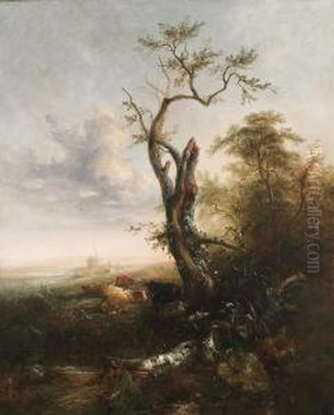 Landscape - view 1