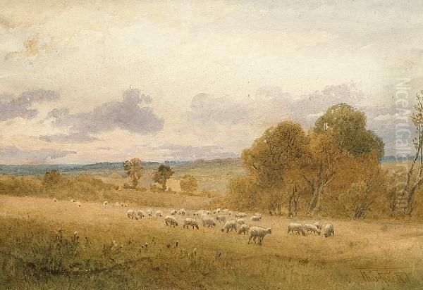 A Country Landscape With Sheep, Near Colchester - view 1