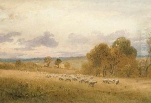 A Country Landscape With Sheep, Near Colchester A Country Landscape With Sheep, Near Colchester