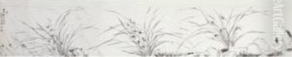 Orchid - view 1