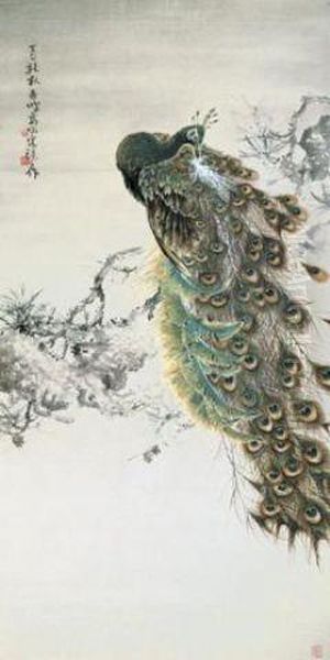 Green Peacock By Old Pine - view 1