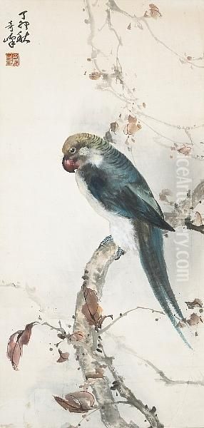 Parrot - view 1