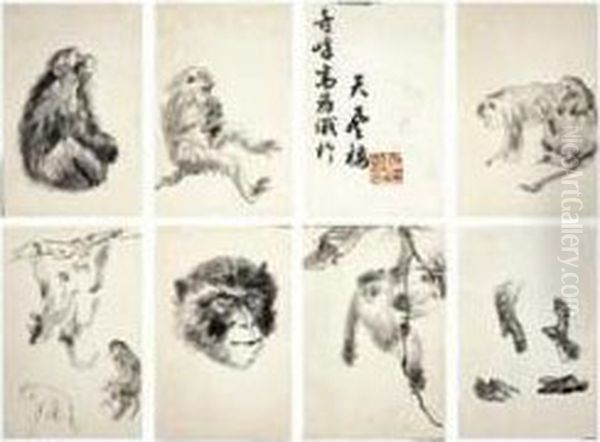 Sketches Of Monkey - view 1