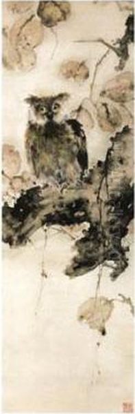 Owl - view 1