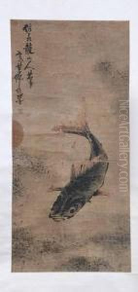 Carp - view 1