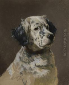 Cane Da Caccia by Giovanni Battista Quadrone