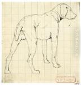 Cane Da Caccia by Giovanni Battista Quadrone