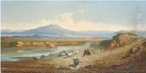 Herding Buffalo In The Roman Campagna