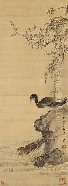 Ducks In The Willow Pond - view 1