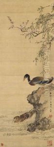 Ducks In The Willow Pond