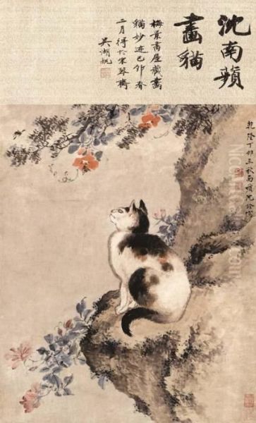 Cat - view 1