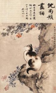 Cat by Shen Quan