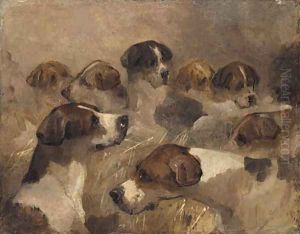 Study of a Group of Foxhounds by Richard Barrett Davis