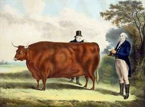 Portrait of Mr TW Coke Esq and Clerk Hilliard Esq with a North Devon Ox