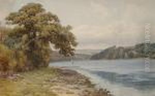 The River Fowey, Cornwall - view 1