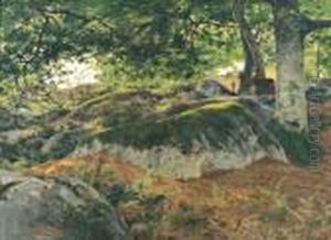 Les Rochers A Barbizon by Clement Quinton