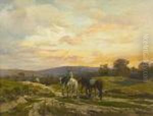 Abendliche Landschaft An Einem Sommertag. Abendliche Landschaft An Einem Sommertag.