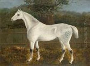 A Dappled Grey Hunter; And A Bay Hunter by J. Quinton