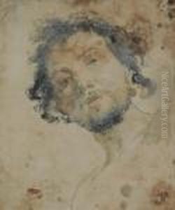 Testa Maschile by Tullio Quinzio