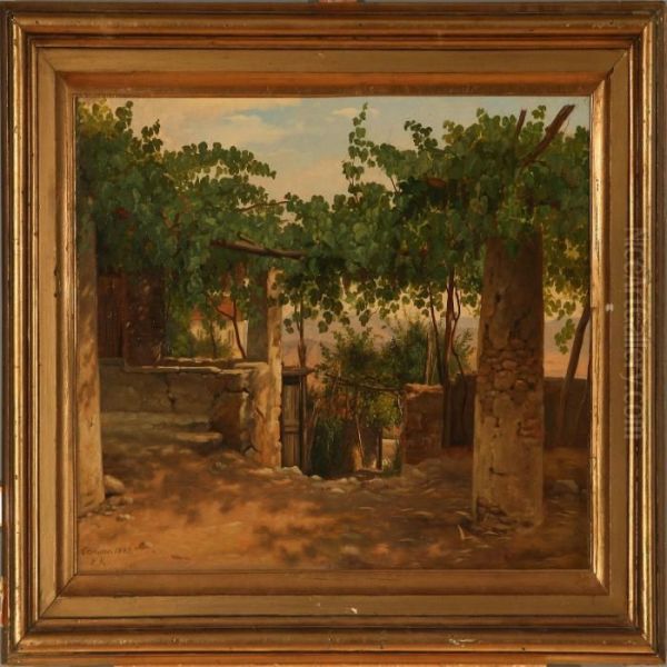 From A Vineyard Inolevano - view 1