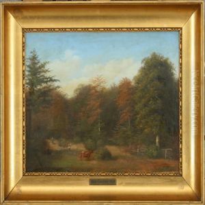 Forest Scenery Forest Scenery