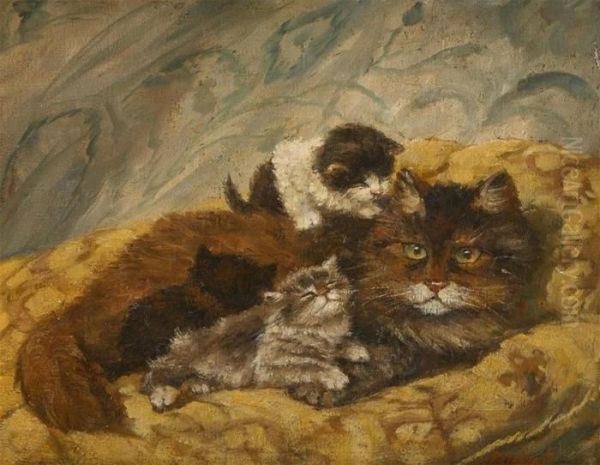 Chat Et Chatons - view 1