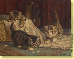 Jeux De Chatons by Cornelis Raaphorst