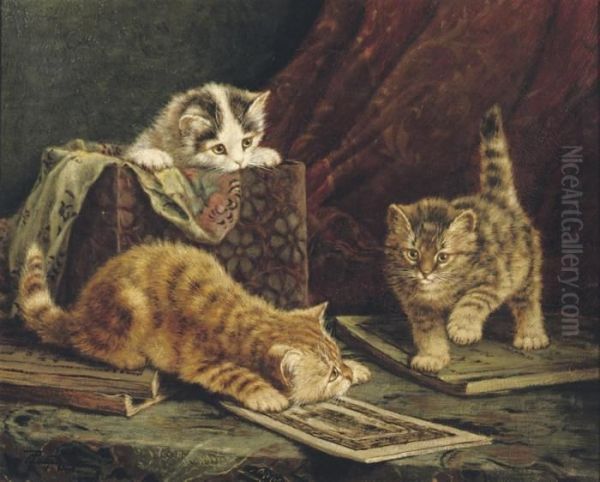 Playful Kittens - view 1