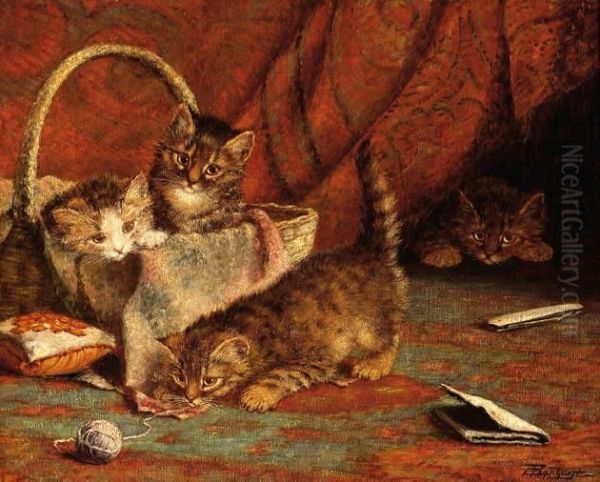 Four Playing Kittens - view 1