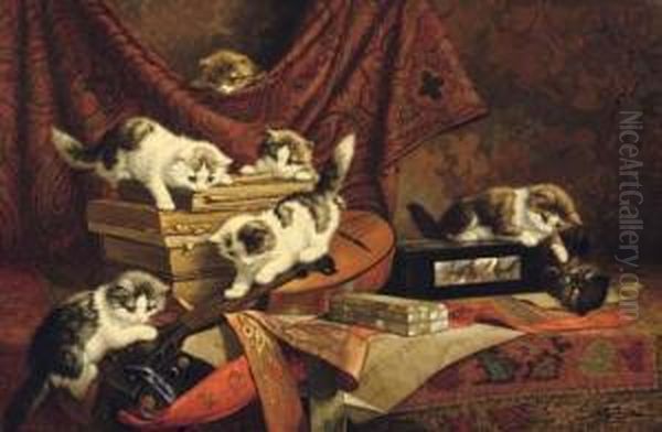Playing Kittens - view 1