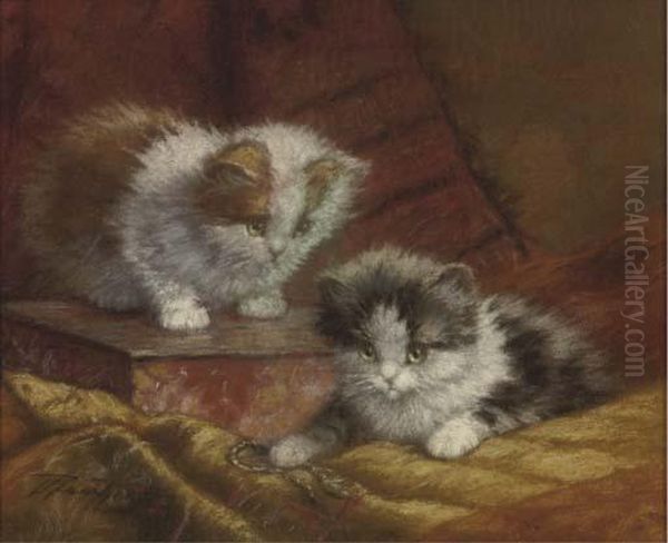 Kittens On A Cushion - view 1