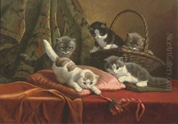 Kittens Playing - view 1