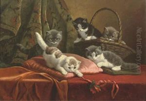 Kittens Playing