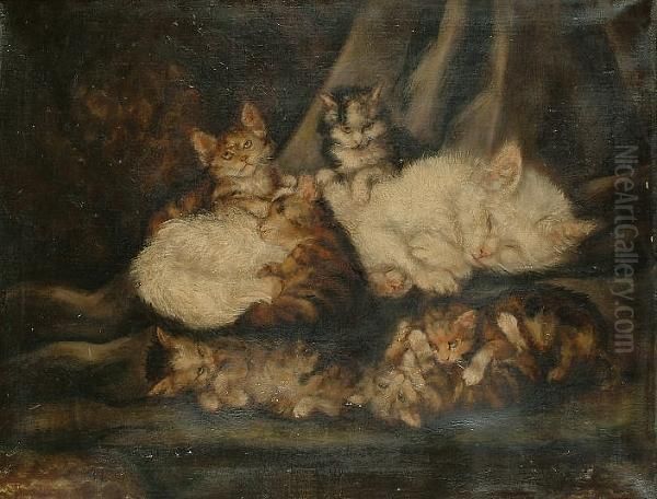 A White Cat With Kittens - view 1