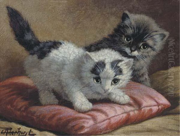 Playful Kittens - view 1