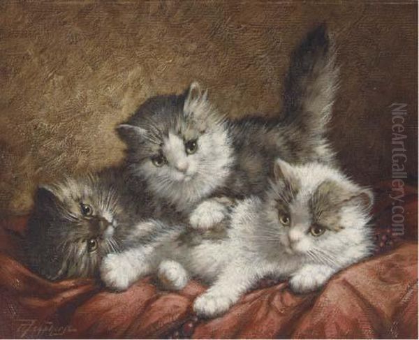 Cute Kittens - view 1