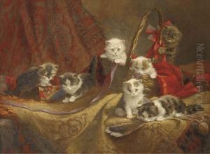 Fascinated Felines