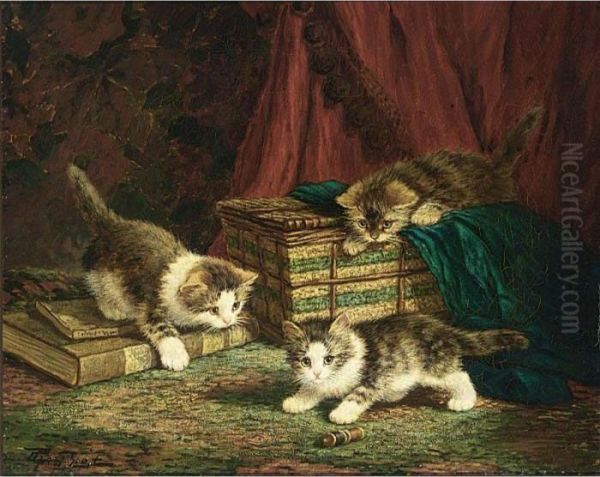 Kittens At Play - view 1
